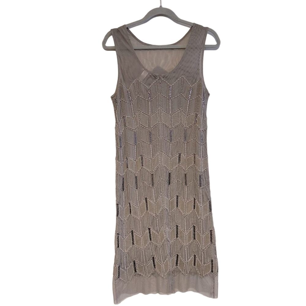 Sundance Mesh Overlay Beaded Chevron Silver Grey Dress Size 10 EUC - Picture 1 of 6